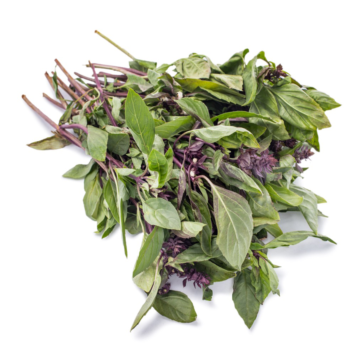 Thai Basil