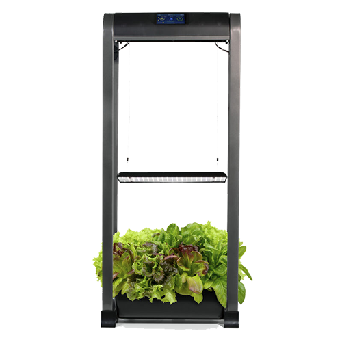 Aerogarden's... Back?