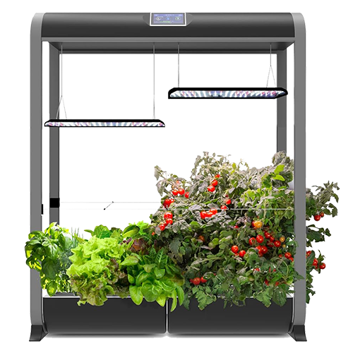 aerogarden-farm-24xl-nyc-indoor-gardening