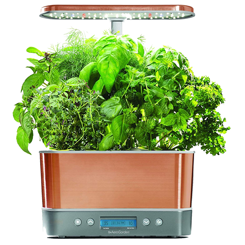 aerogarden-harvest-elite-copper