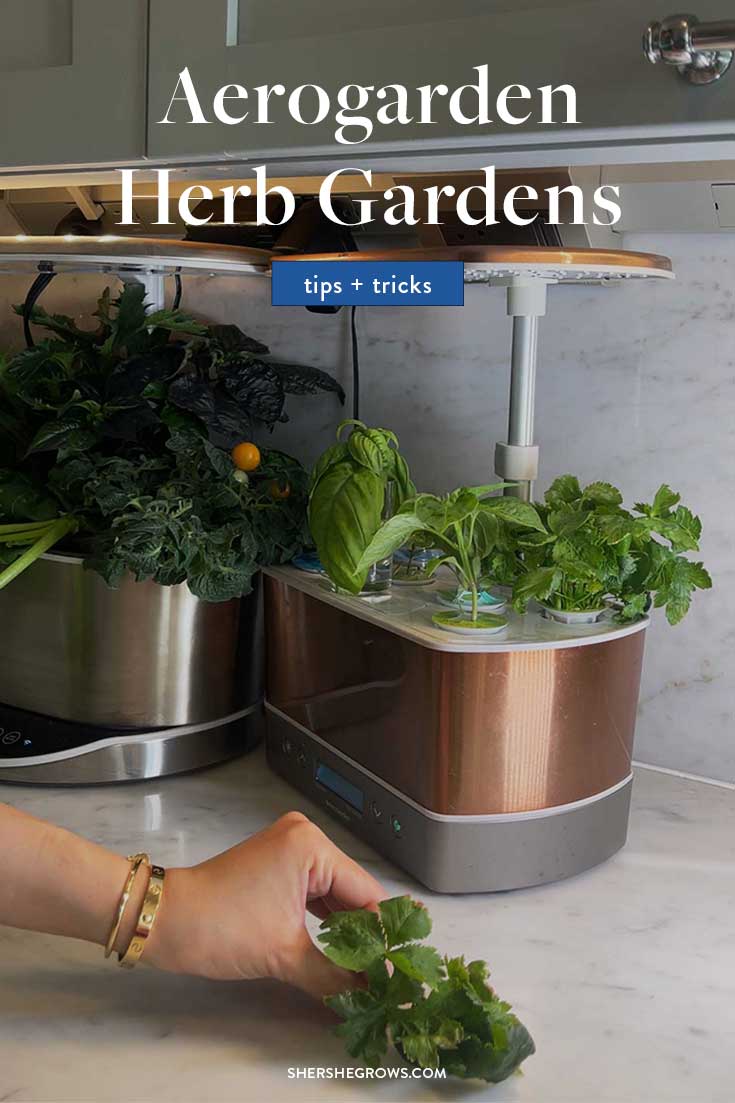 aerogarden-herb-garden