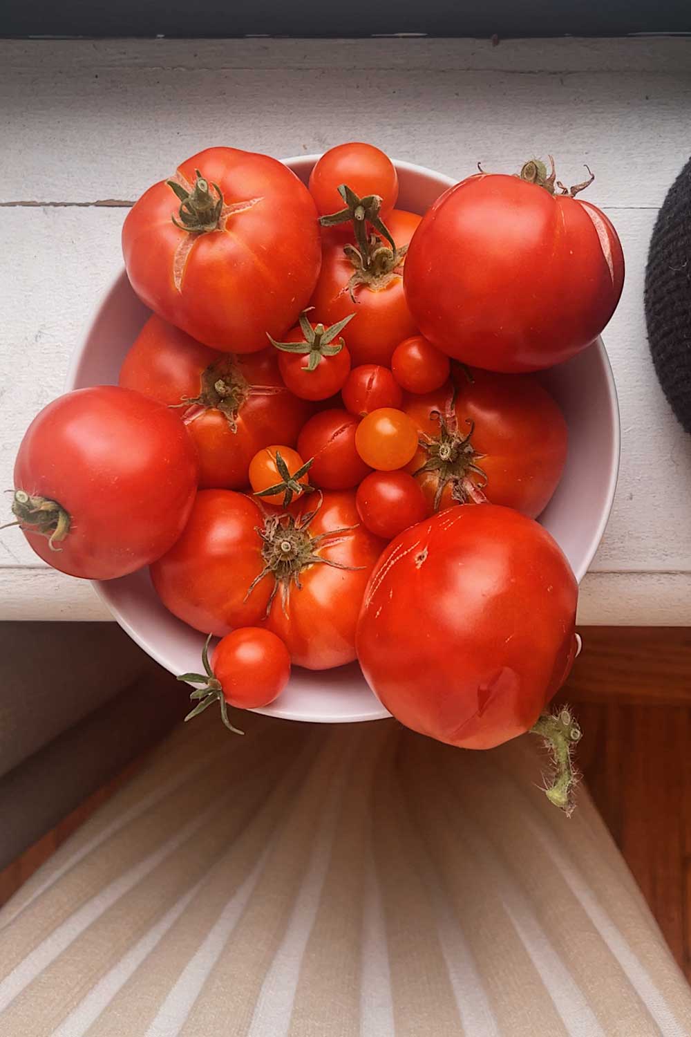 aerogarden-tomatoes