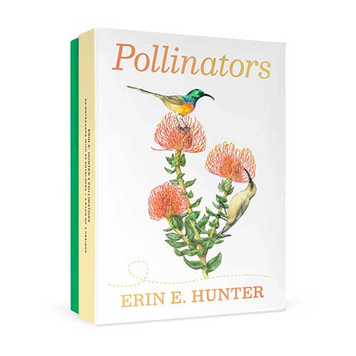 beautiful-gifts-for-gardeners-pollinator-postcards