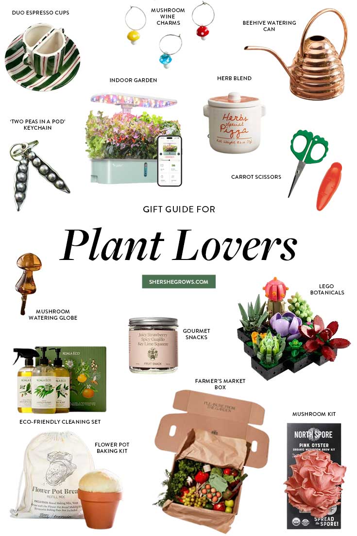 best-gifts-for-plant-lovers