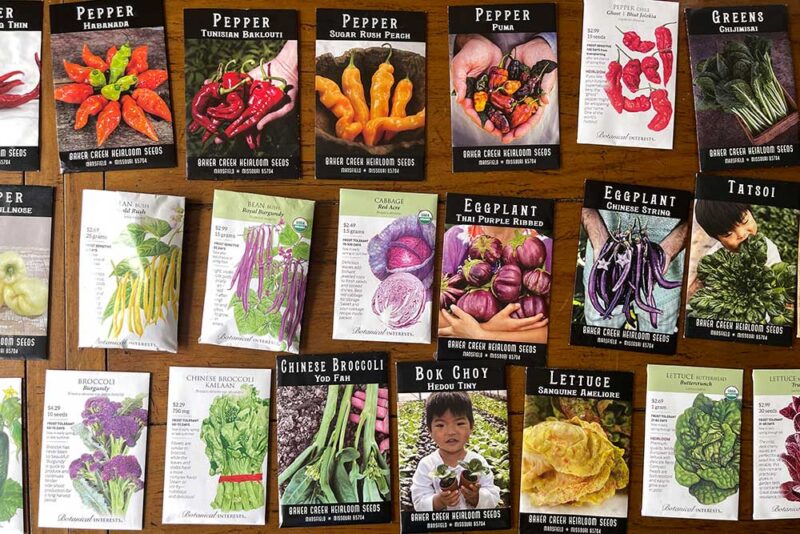 The 18 Best Places to Buy Seeds Online