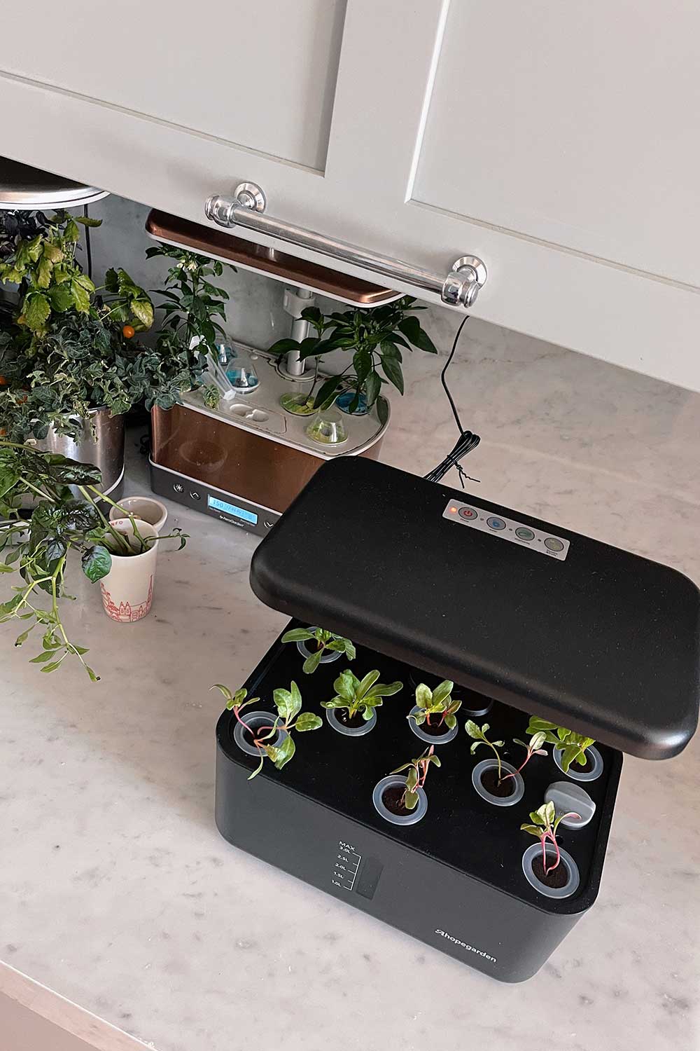 best-smart-garden-kits-ahopegarden