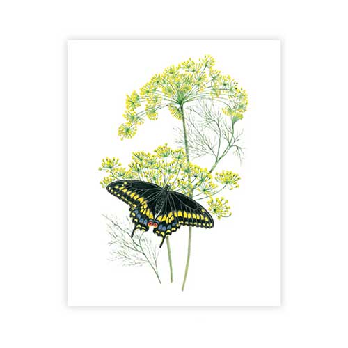 botanical-prints-for-gardener-gift