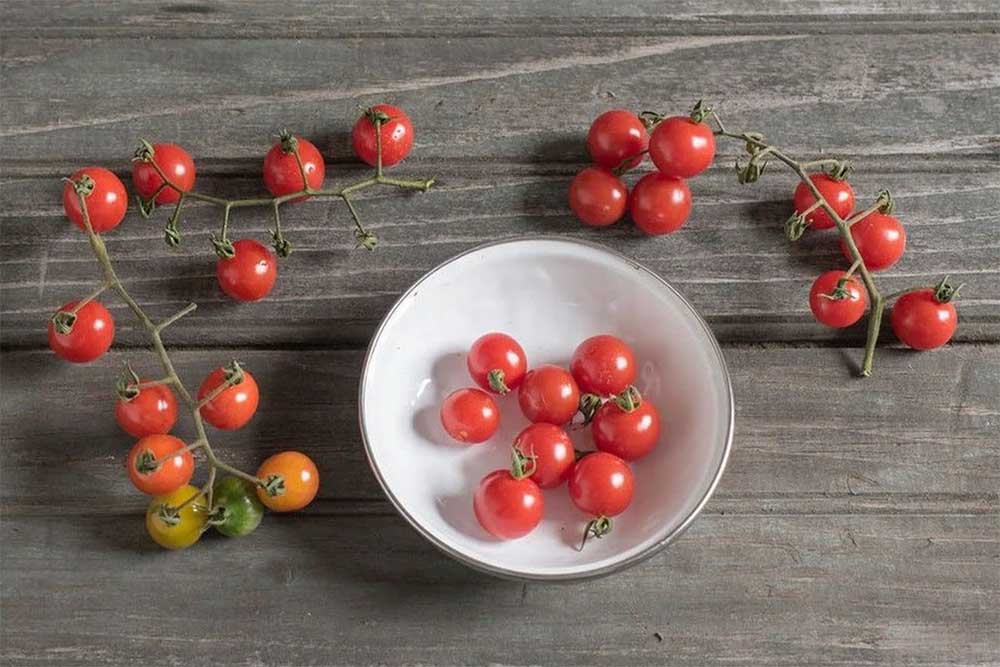 candyland-cherry-tomato