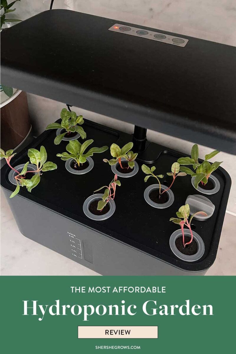 Fresh Look at Ahopegarden Review The Best Affordable Indoor Hydroponic Garden