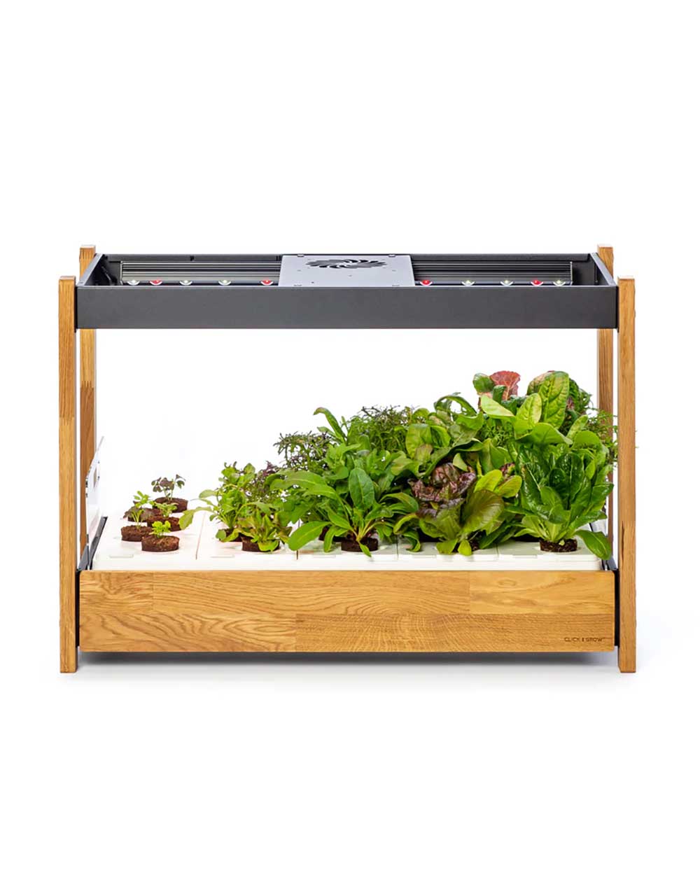 click and grow smart garden 25 review