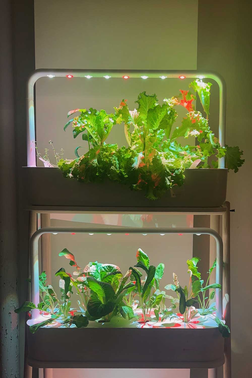 click-and-grow-smart-garden-led-lights-electricity-cost