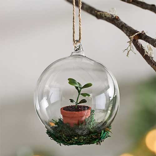cute-ornaments-for-gardeners-succulent-ornament