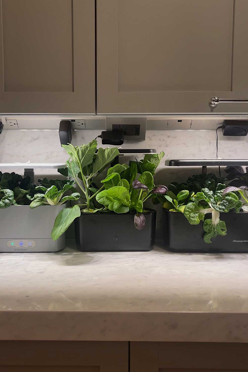 does-aerogarden-use-a-lot-of-electricity