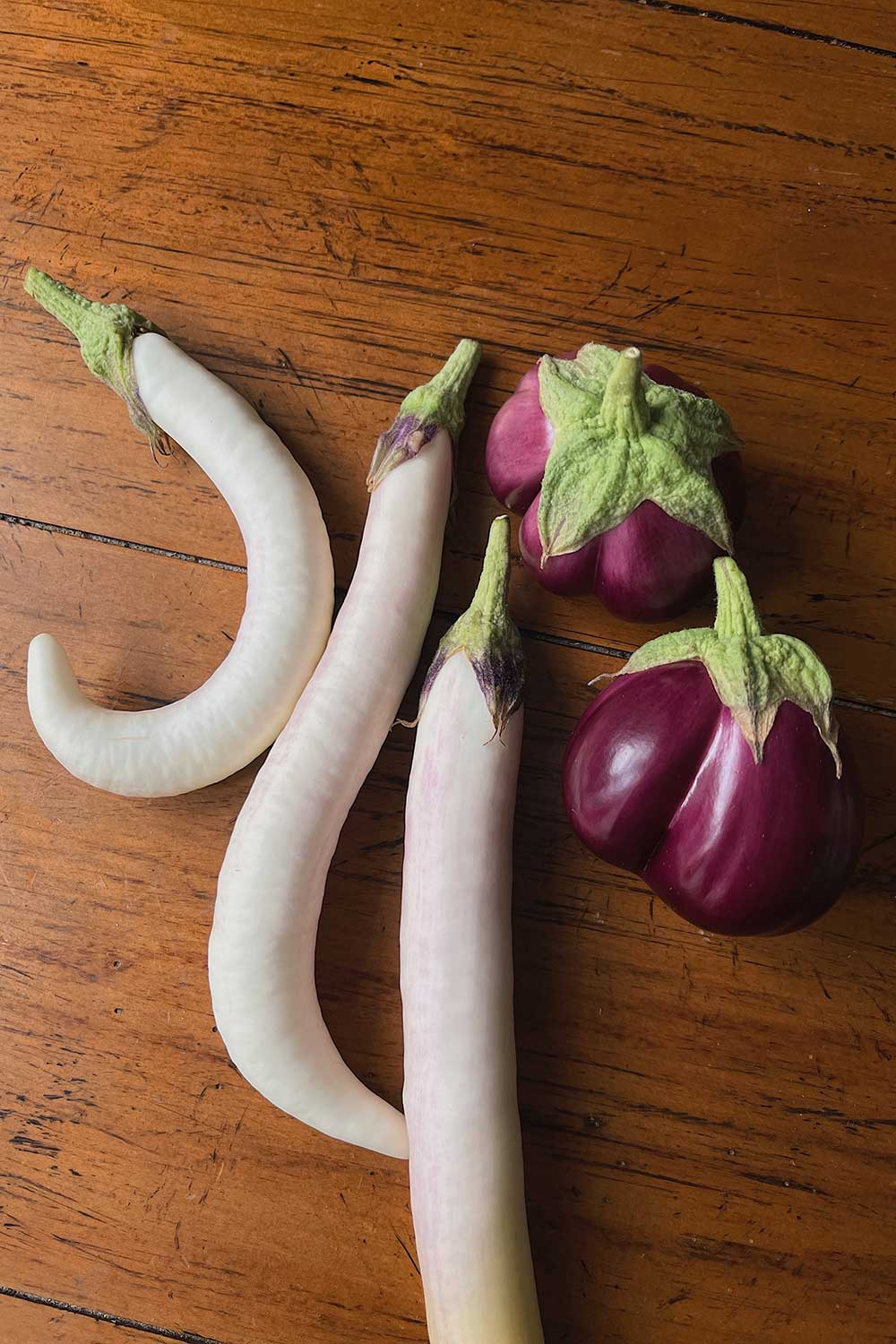 does-chinese-eggplant-taste-the-same-as-regular-eggplant