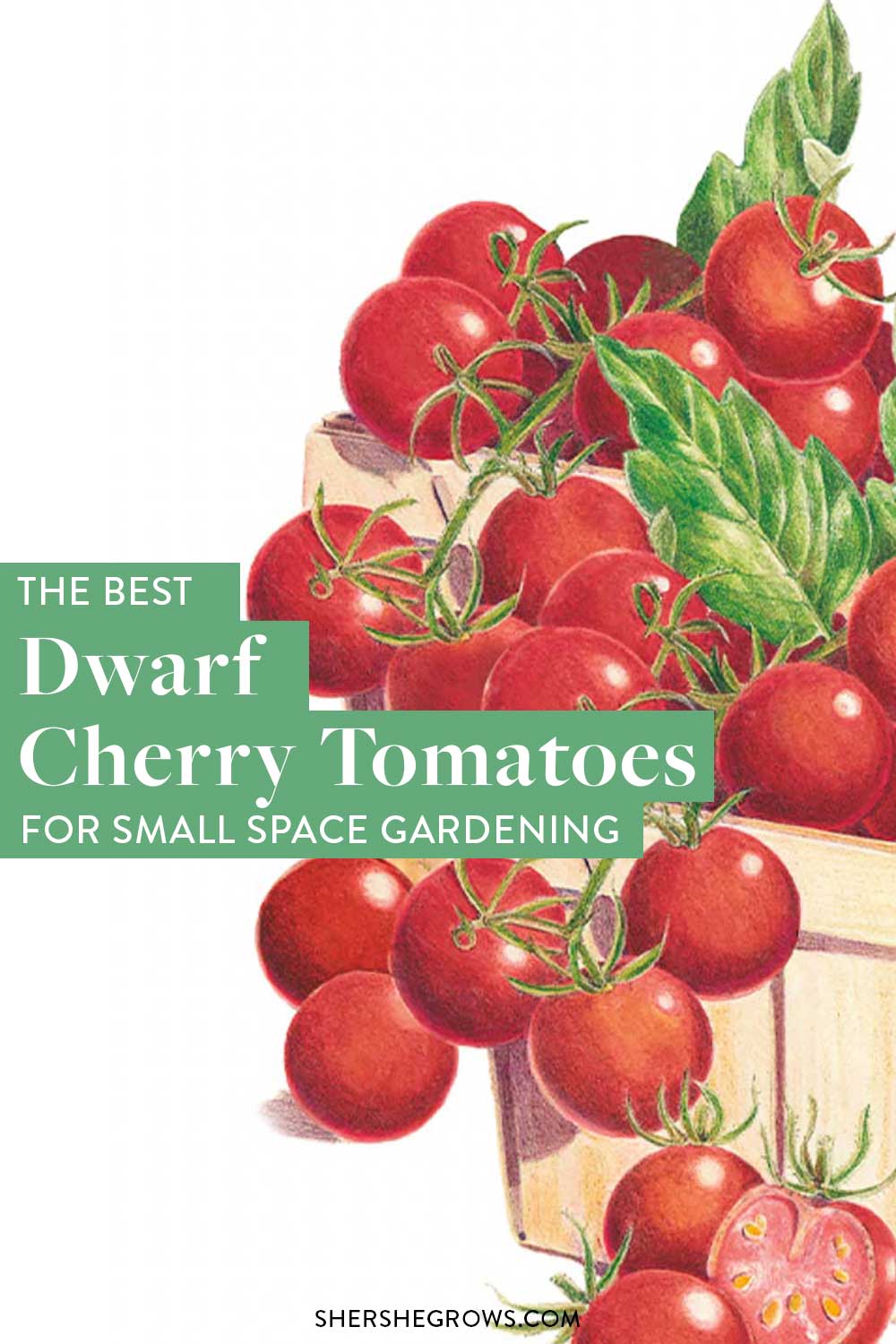 dwarf-cherry-tomato-types