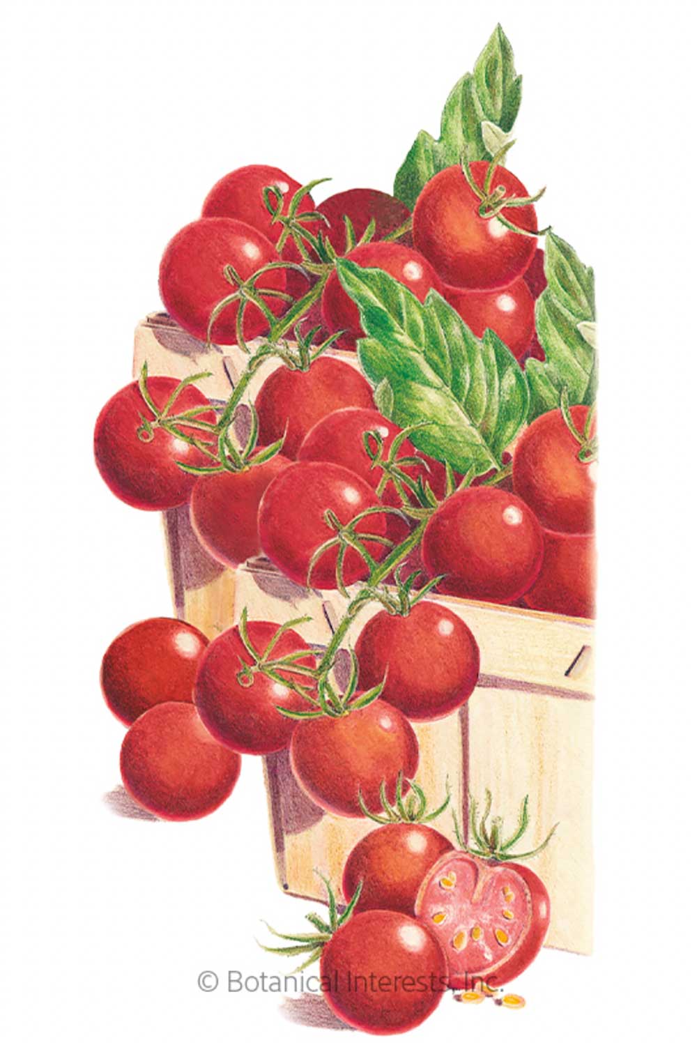 dwarf-cherry-tomato-varieties-for-small-spaces