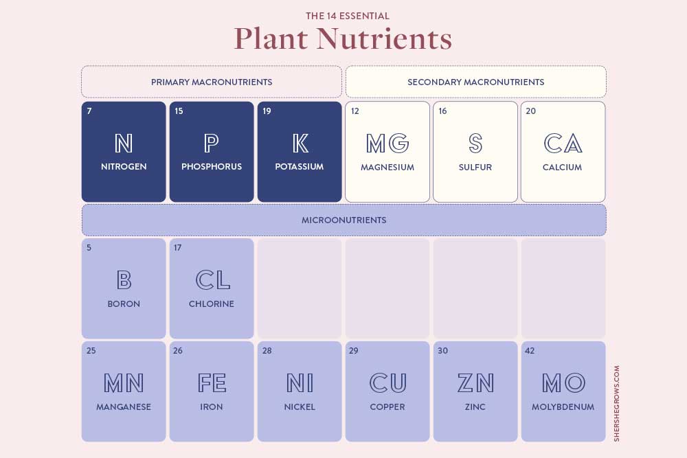 essential-plant-nutrients-14-macro-and-micronutrients