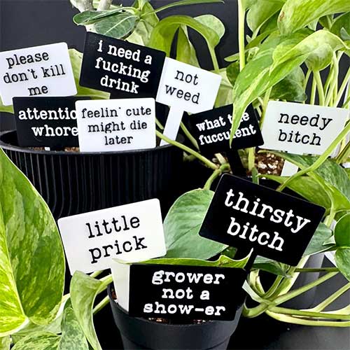 funny-gift-ideas-plant-lover-humurous-plant-stakes