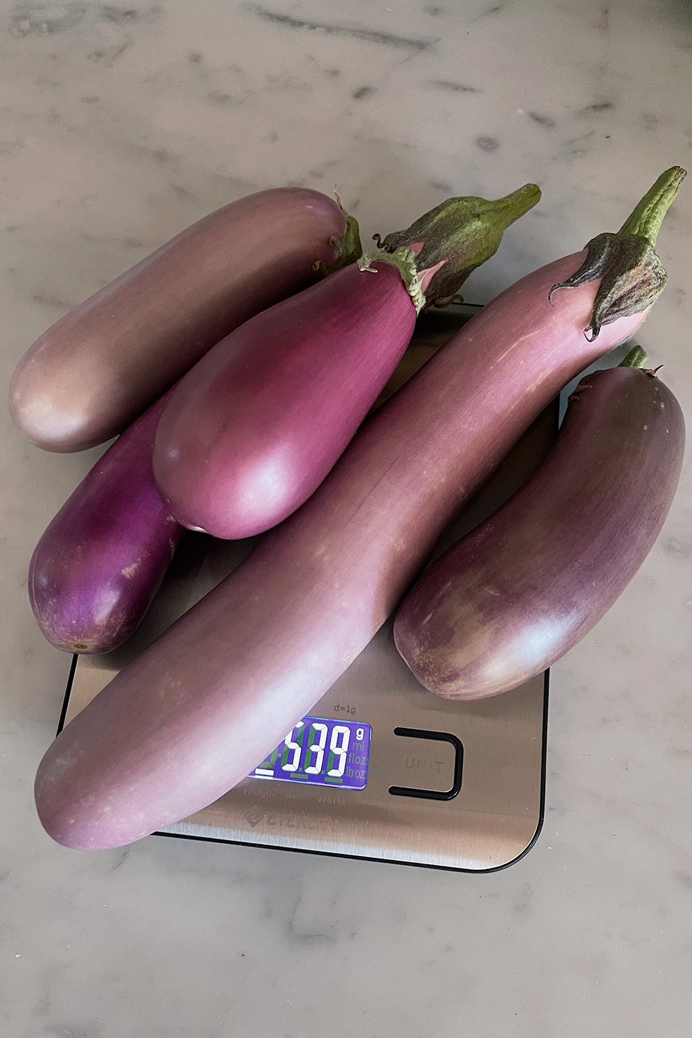 garden-vs-groceries-growing-eggplant-indoors-at-home