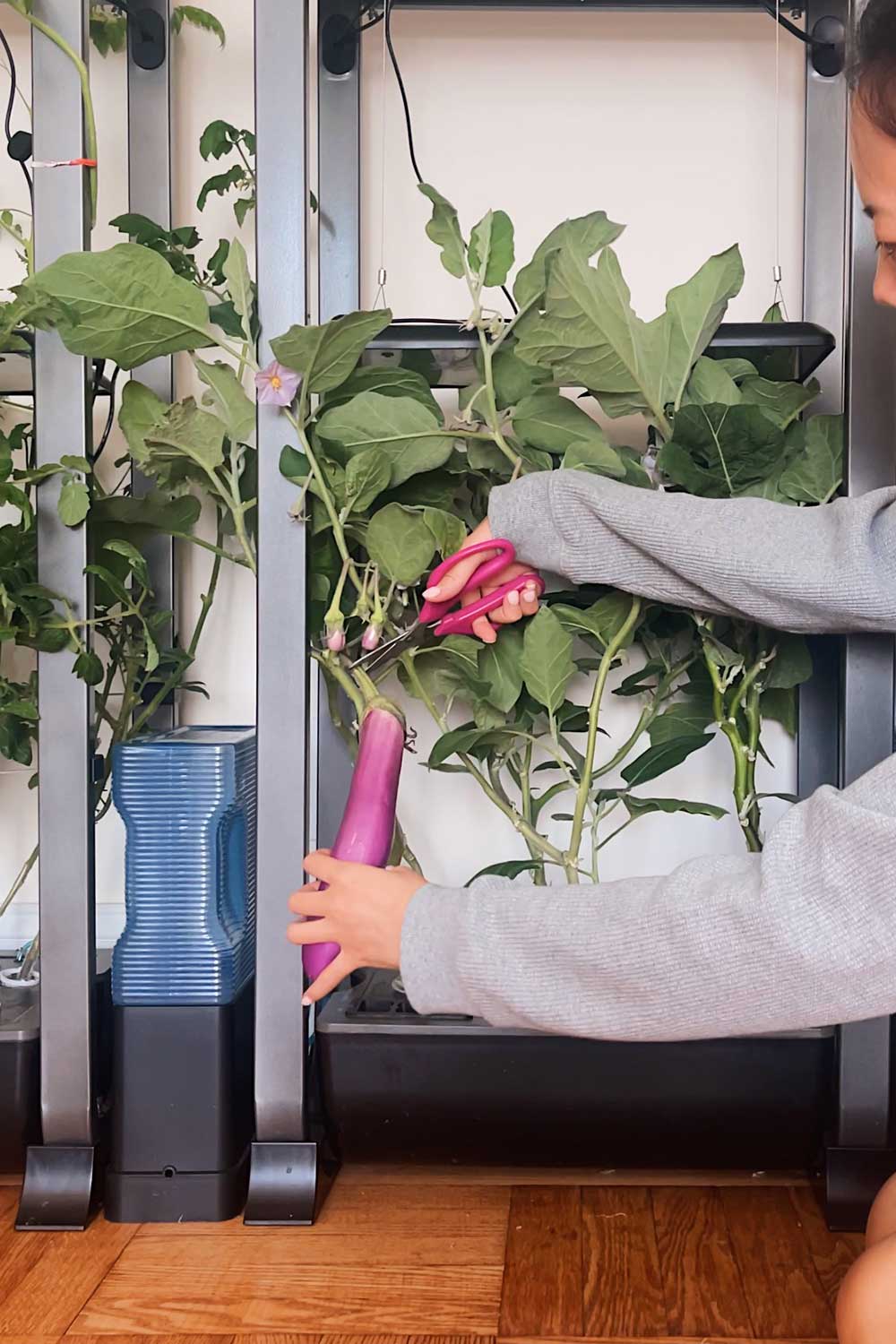 garden-vs-groceries-is-indoor-gardening-worth-it