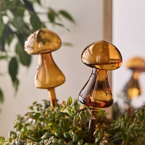 gardener-gift-guide-mushroom-watering-globes