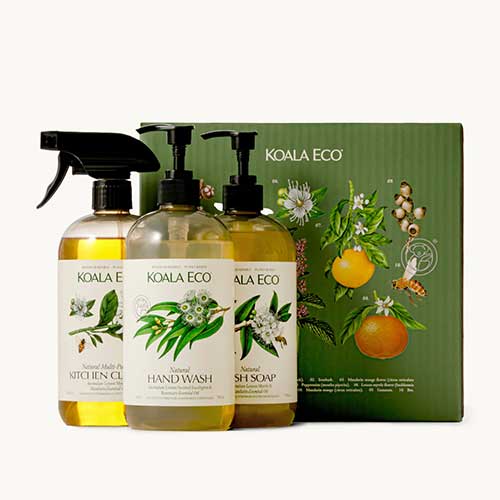 gift-guide-for-plant-lovers-botanical-eco-friendly-cleaning-products