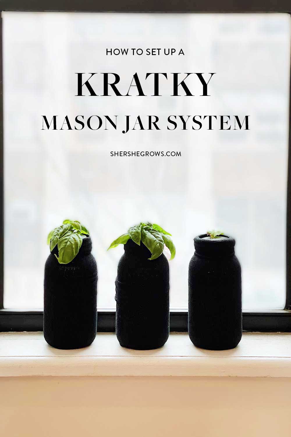 glass-jar-kratky-hydroponics