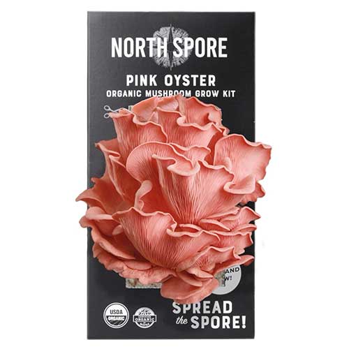 great-gift-idea-for-plant-lovers-north-spore-mushroom-kit