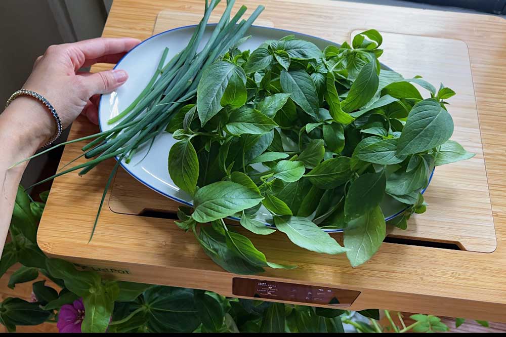 green-onions-and-basil-harvested-from-indoor-herb-garden-letpot-lph-home-review