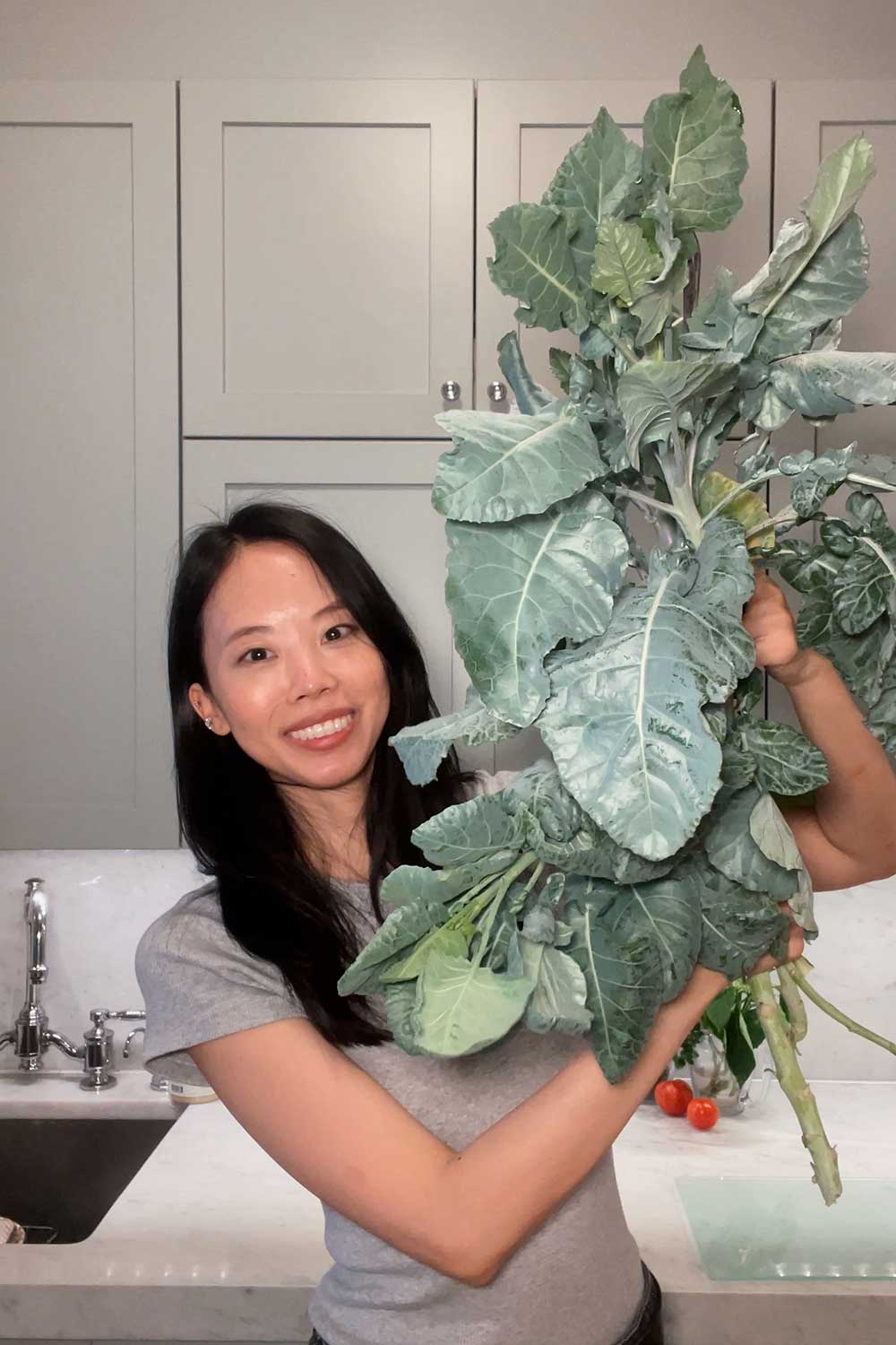 growing-burgundy-broccoli-indoors