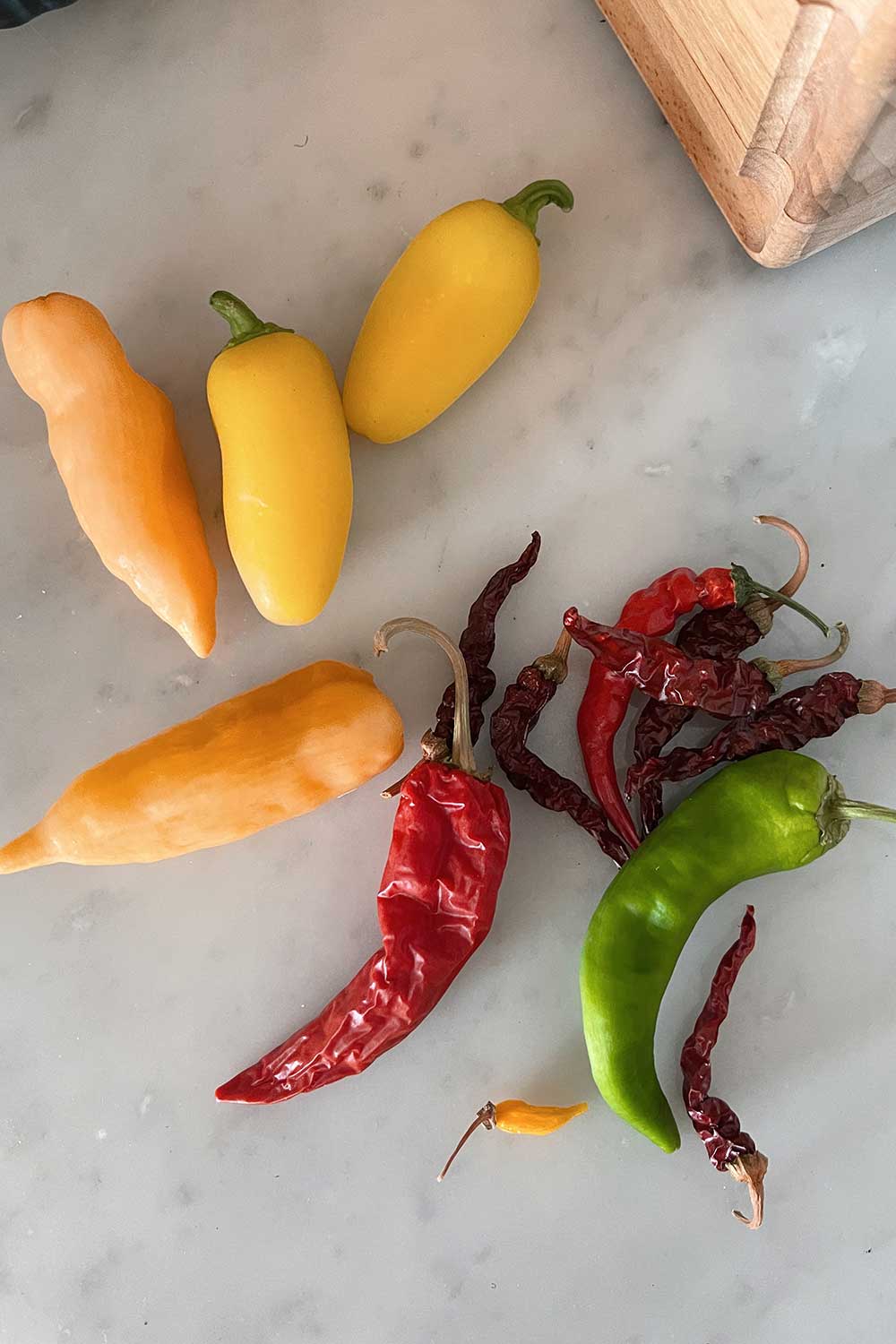 growing-chilies-and-hot-peppers-indoors