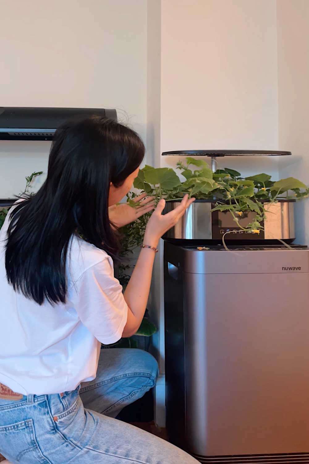 growing-cucumbers-indoors-in-a-hydroponic-garden