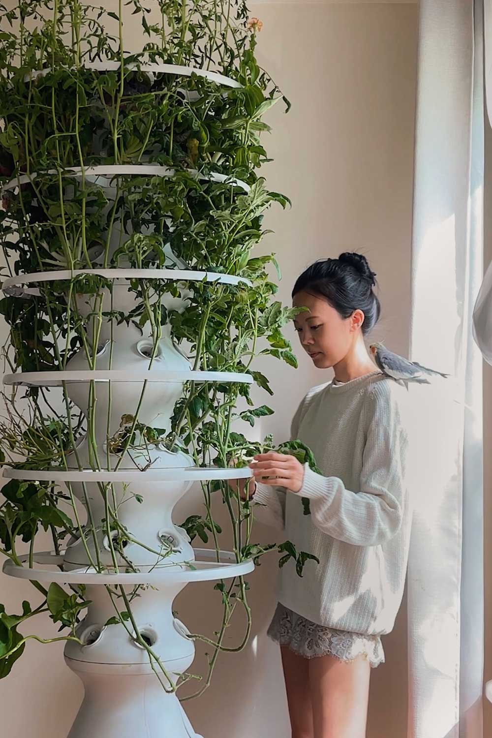 growing-flowers-on-lettuce-grow-farmstand-hydroponic-garden