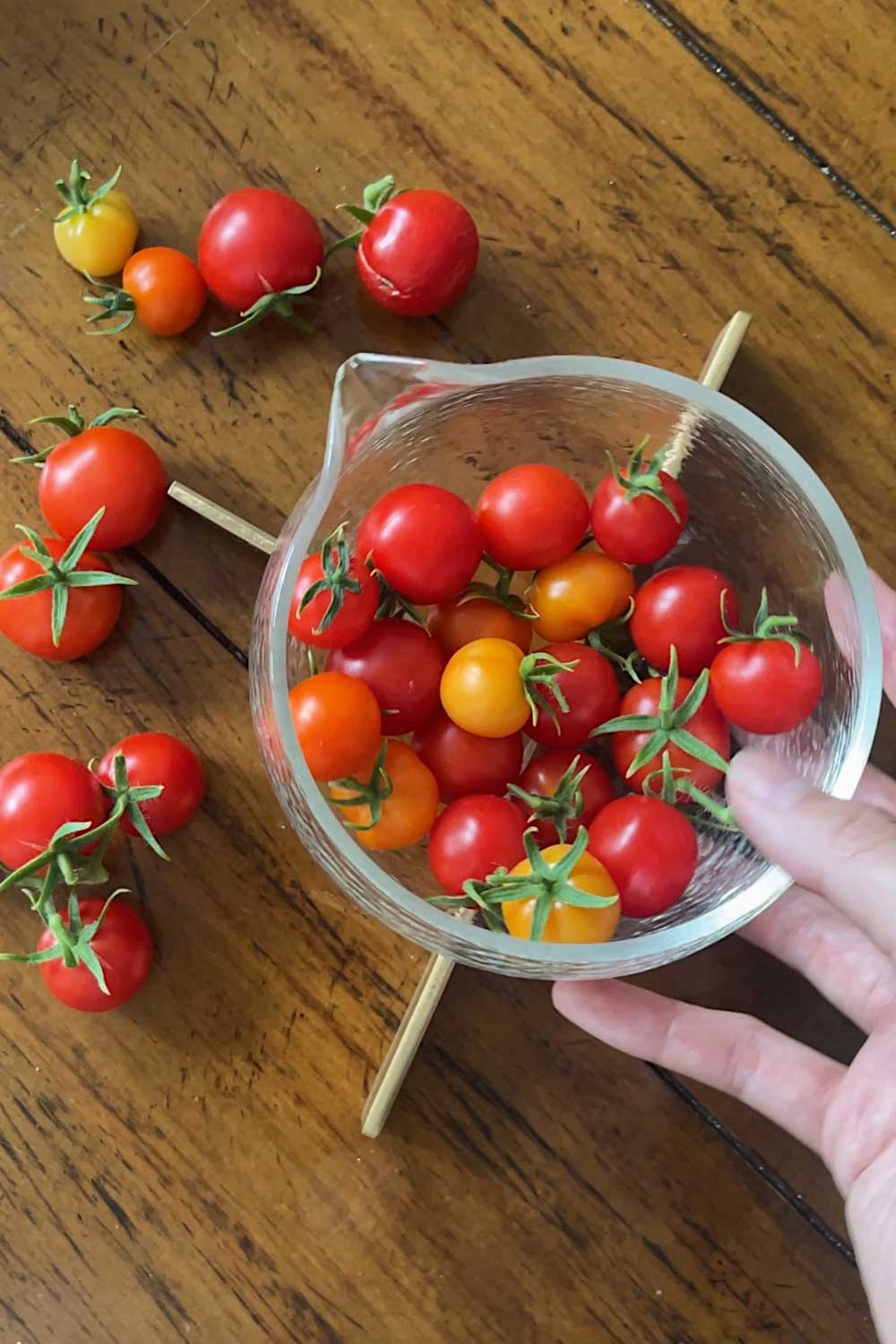 growing-patio-choice-cherry-tomatoes-indoors