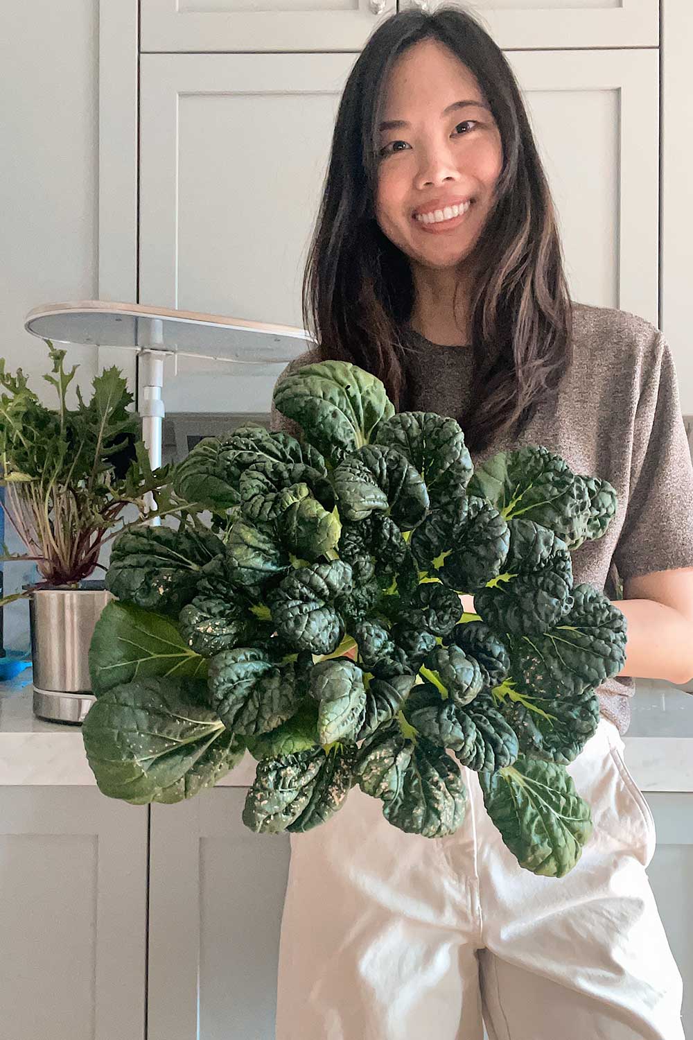 growing-tatsoi-indoors-hydroponic-gardening