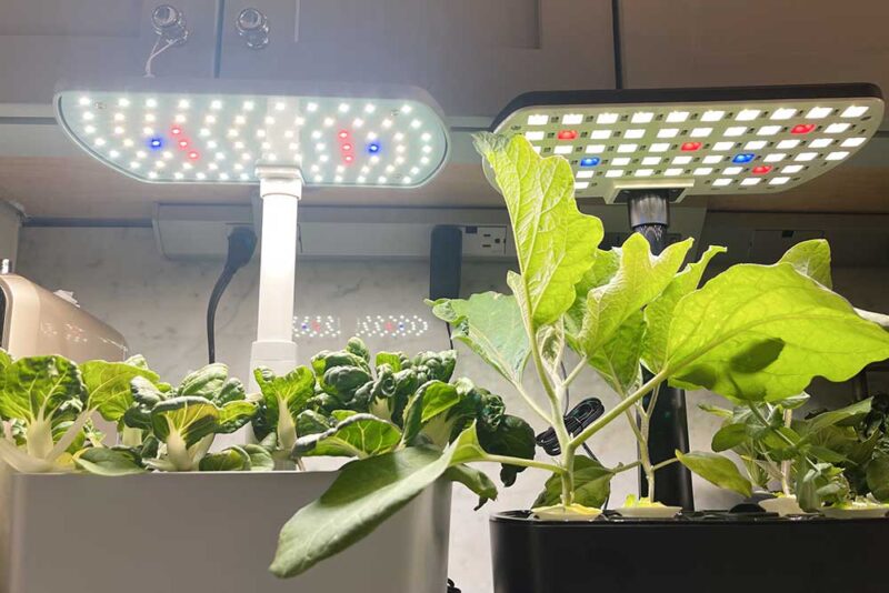 Does AeroGarden Run Up My Electric Bill?