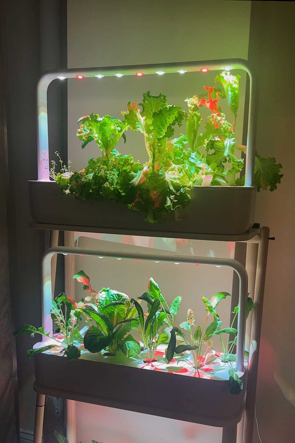 how-much-does-click-and-grow-cost-to-run-utility-bills