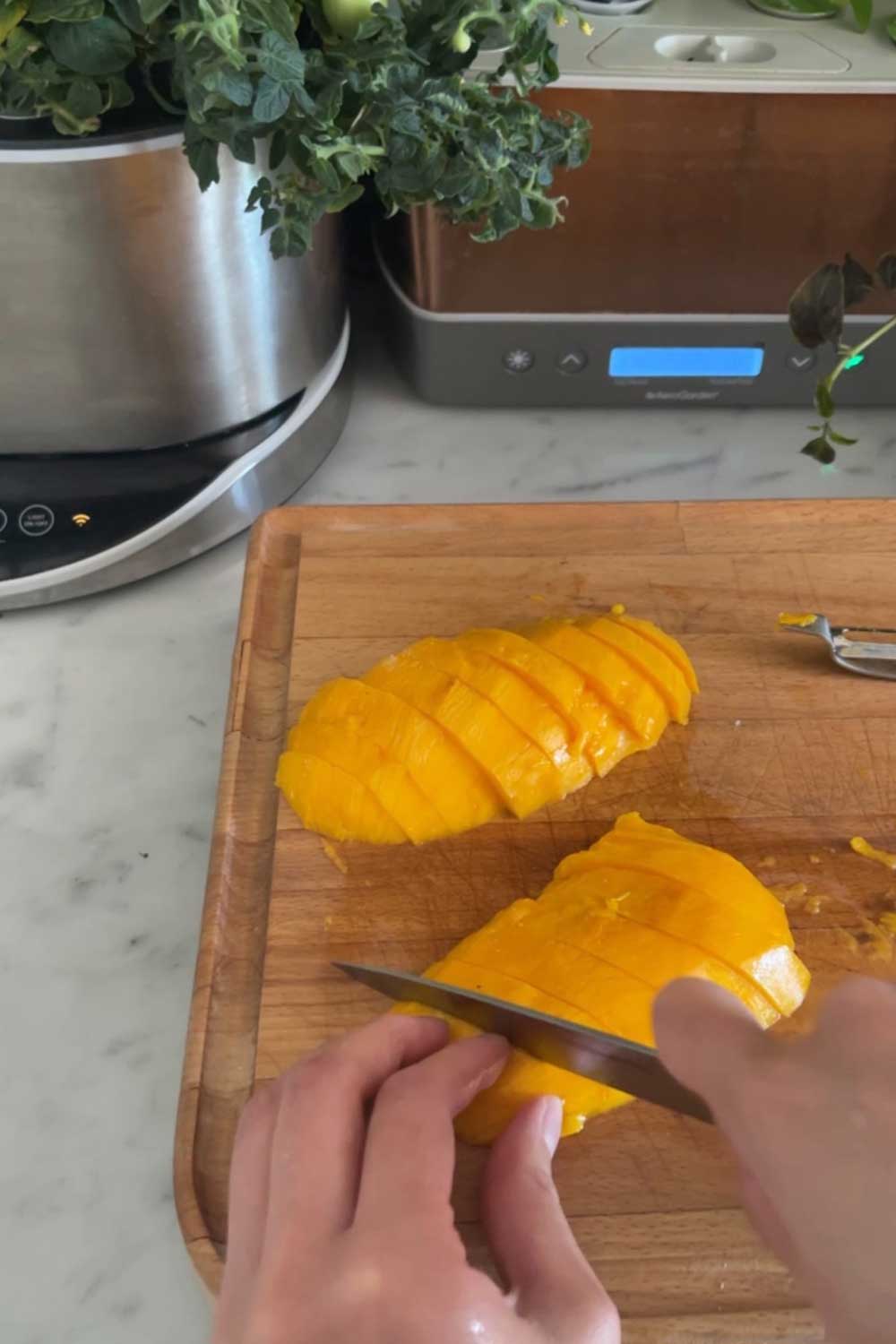 how-to-cut-alphonso-mango