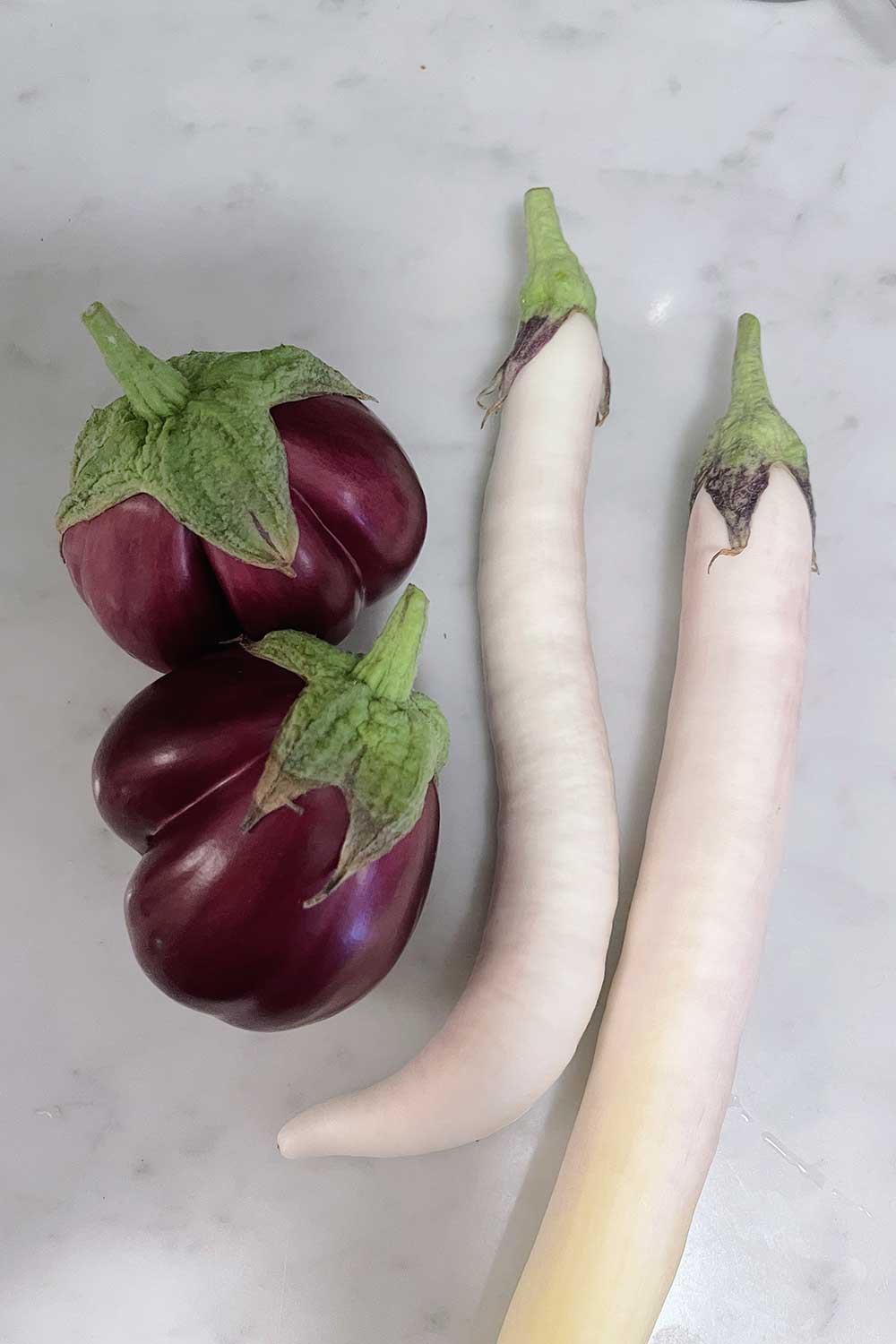 how-to-grow-asian-eggplant