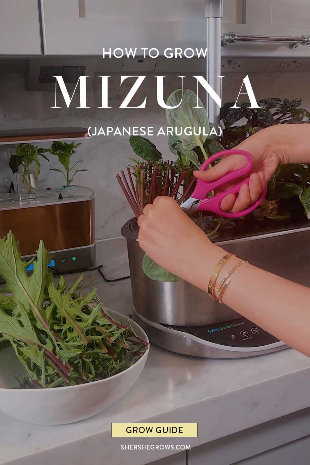 how-to-grow-mizuna-indoors-apt-gardening