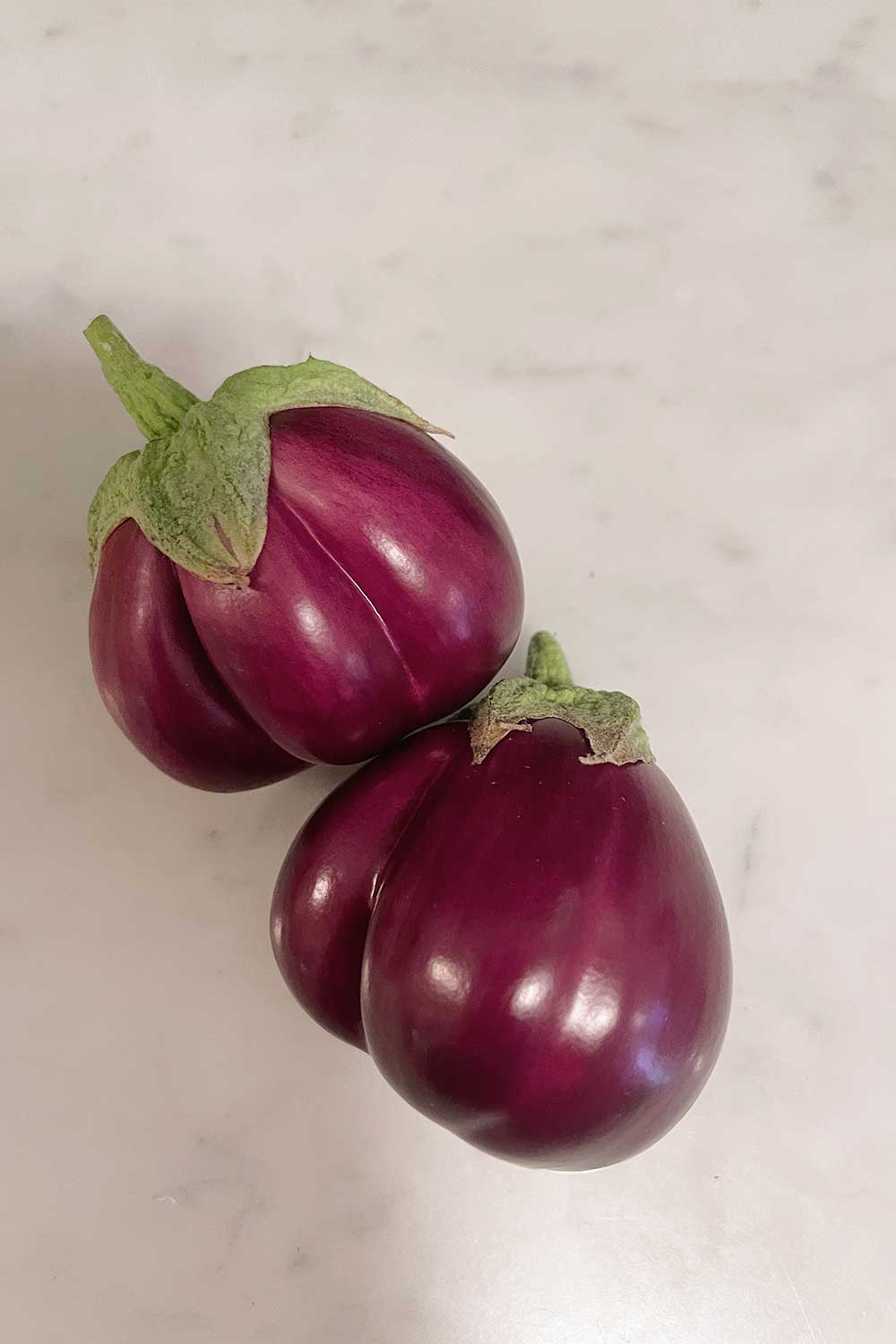 how-to-grow-thai-ribbed-eggplants