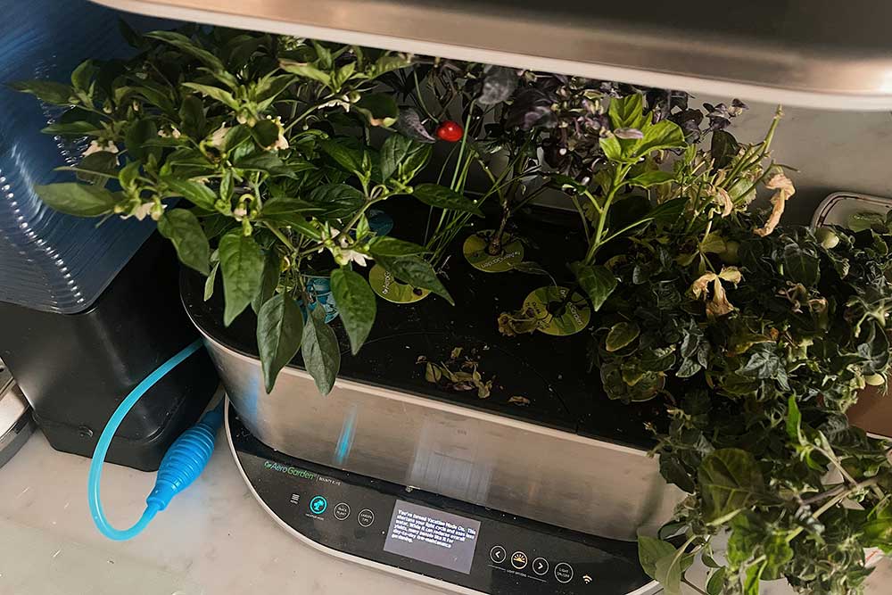 how-to-put-aerogarden-on-vacation-mode