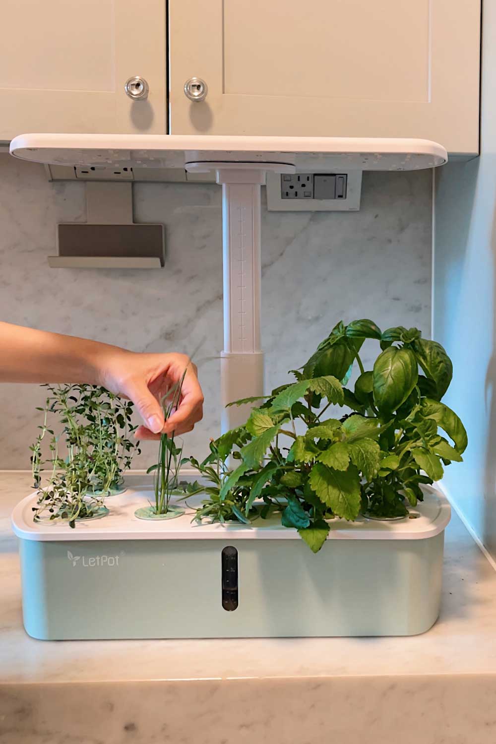 how-to-start-indoor-herb-garden-hydroponic-garden-letpot