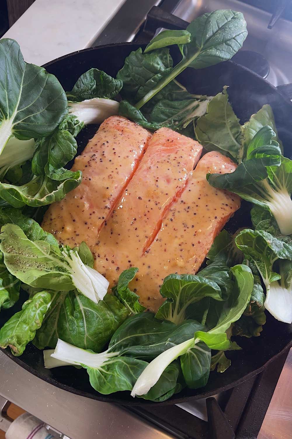 hydroponic-bok-choy-and-salmon