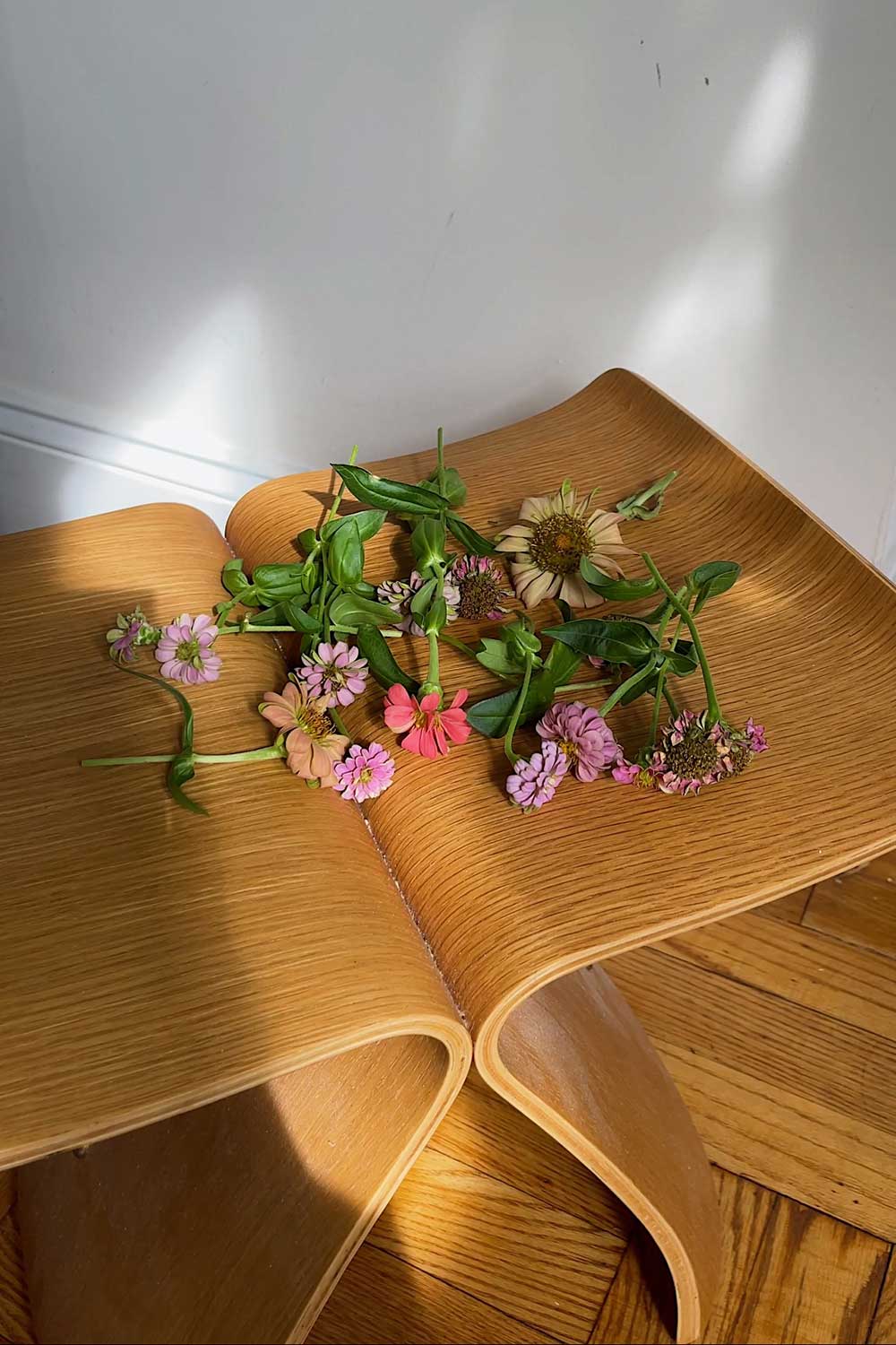 hydroponic-flowers-grow-faster