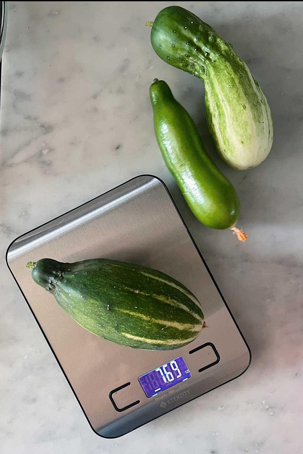 indoor-cucumber-vegetable-garden-harvest