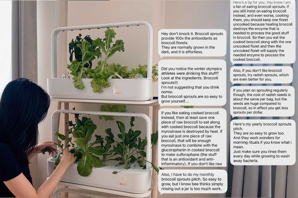indoor-gardening-microgreens-and-sprouts