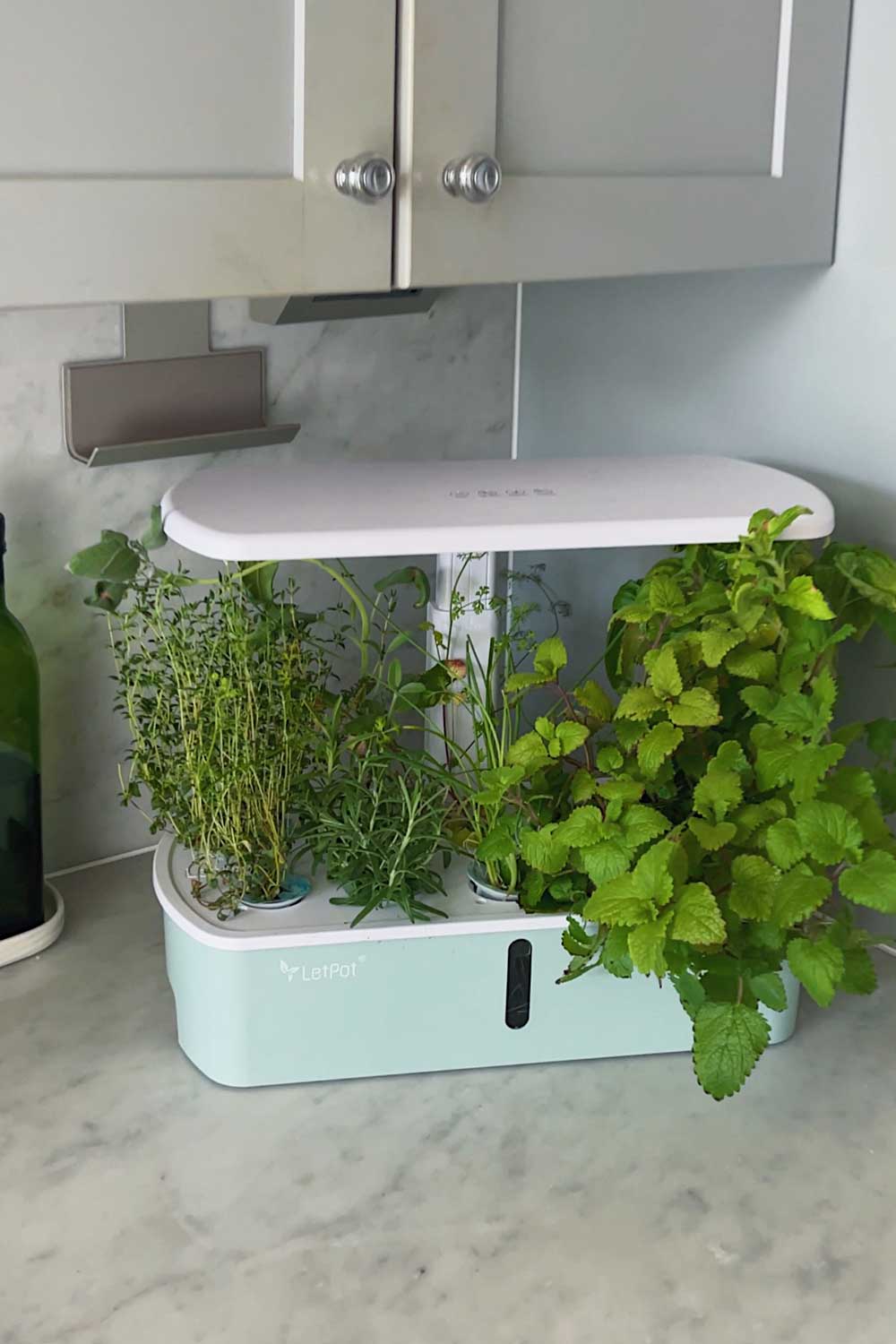 indoor-herb-garden-hydroponic-system-letpot