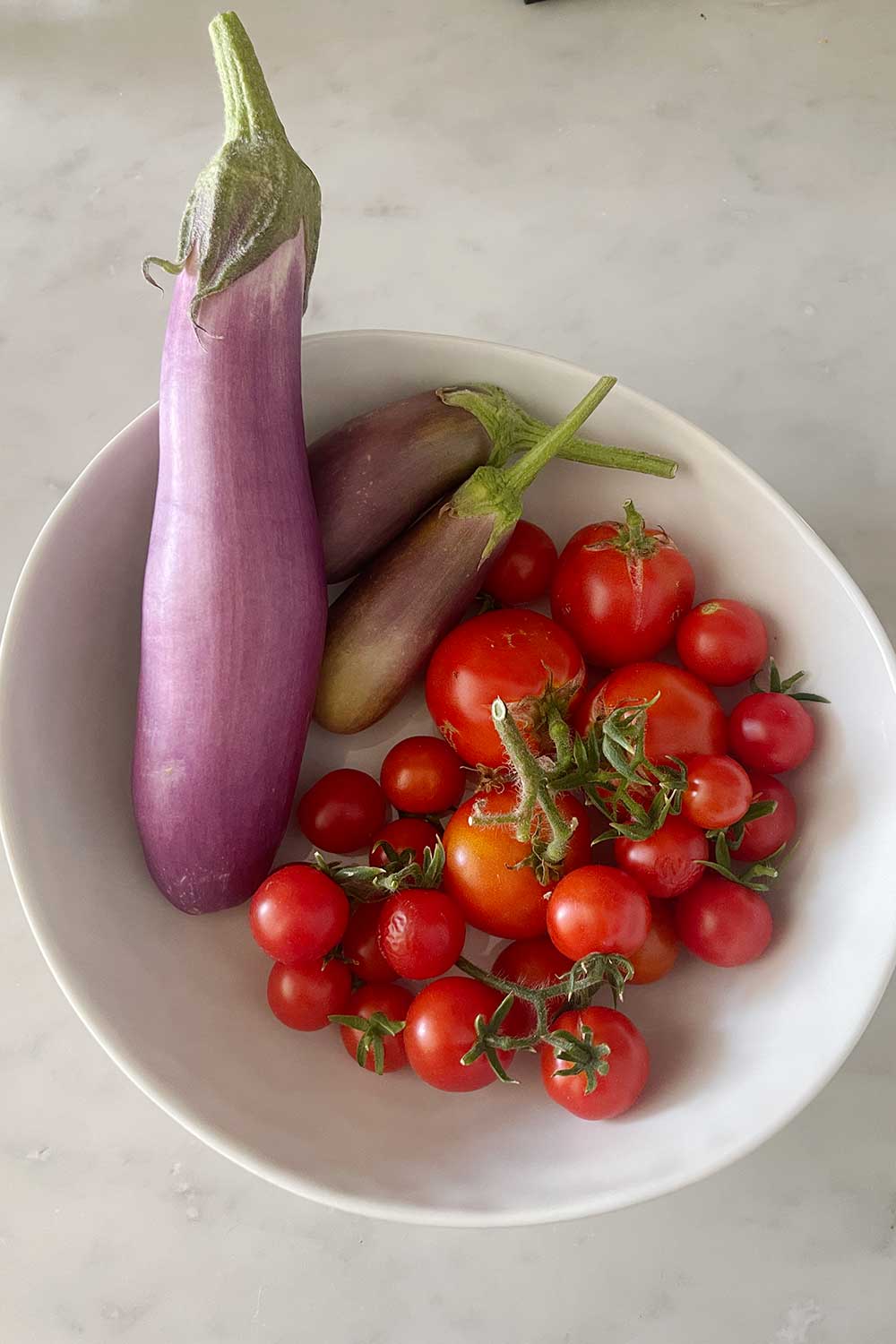 indoor-hydroponic-nightshade-vegetables-eggplants-and-cherry-tomatoes