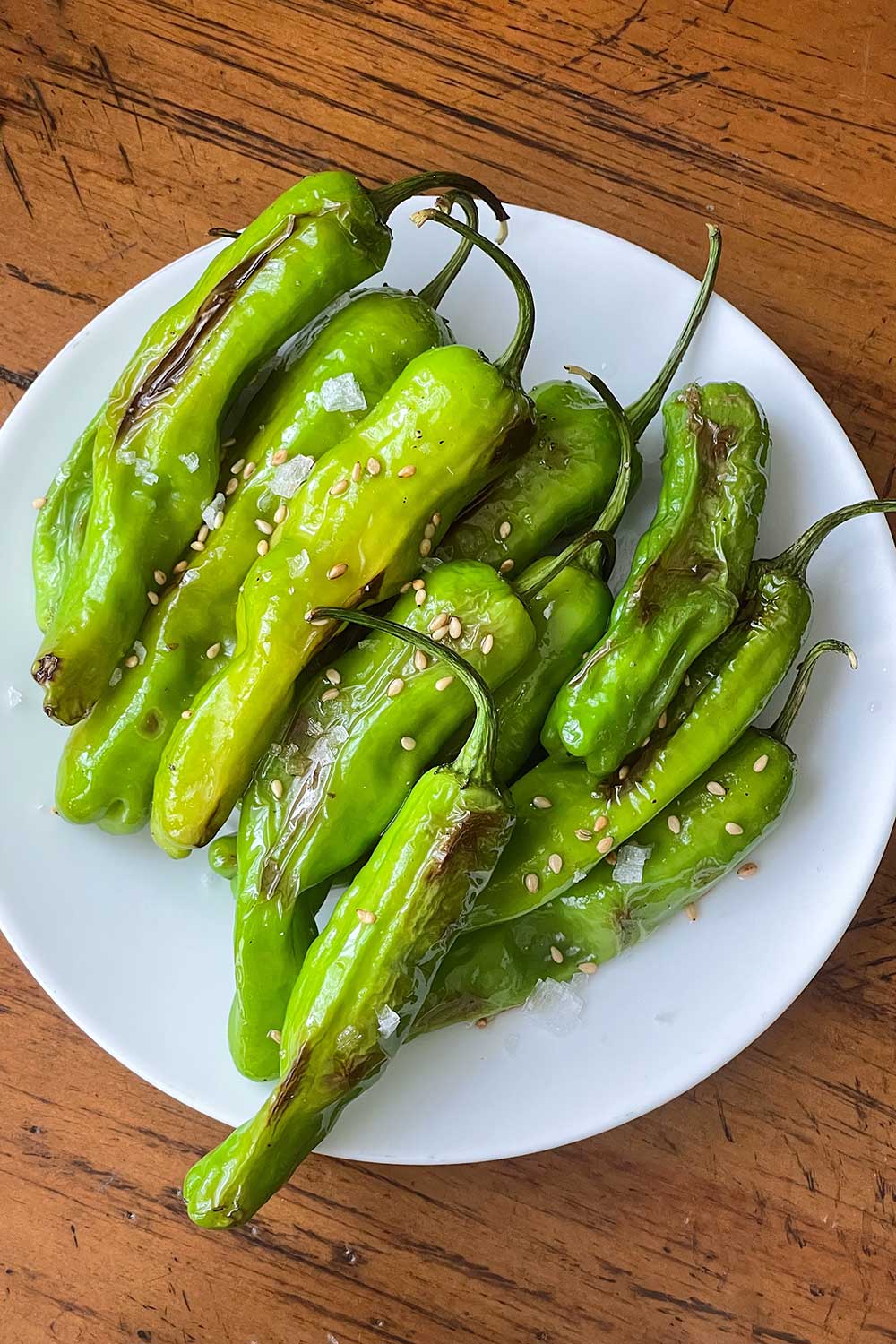 japanese-shishito-pepper-appetizer